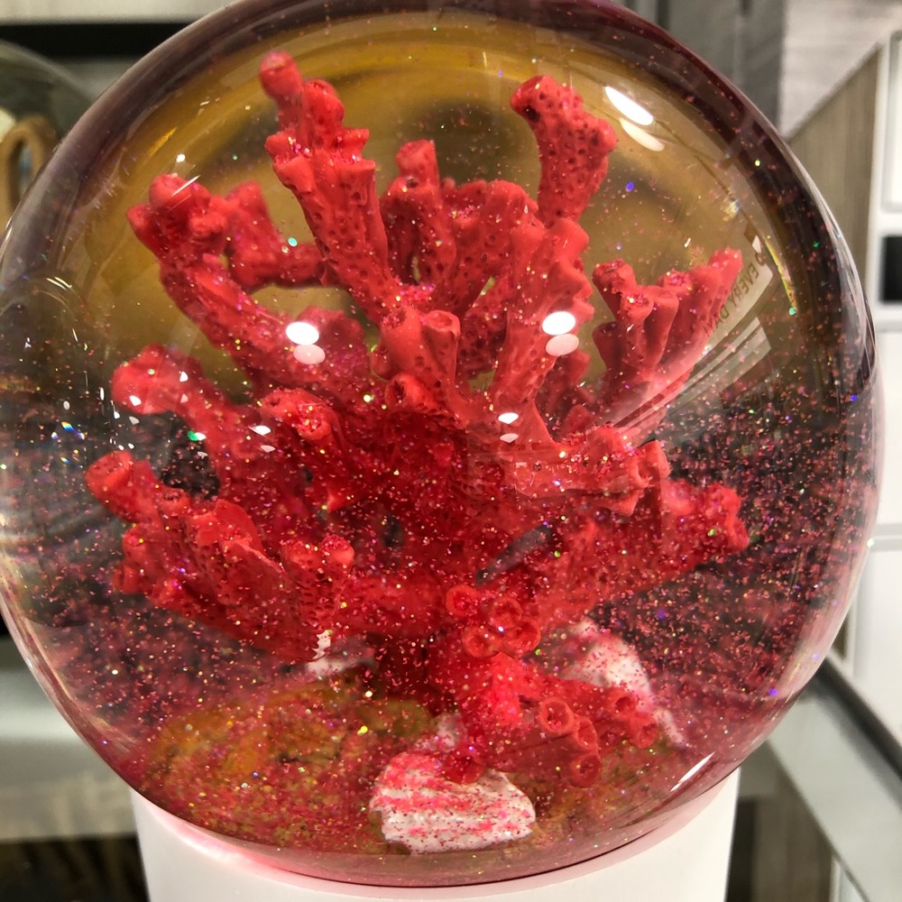 Meet your Posher, Xandre